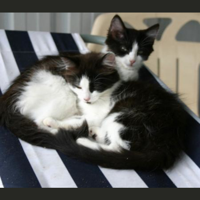 Photo of Holly And Dolly