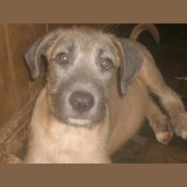 Photo of Marcus Is On Hold