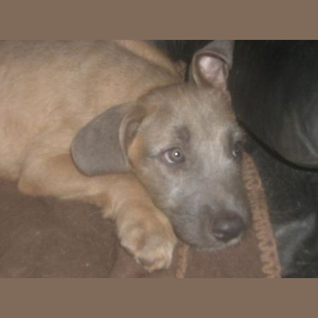 Photo of Rennie Is On Hold