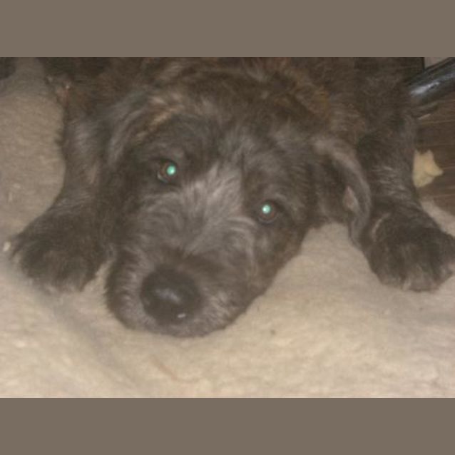 Photo of Duncan Is On Hold