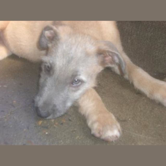 Photo of Rennie Is On Hold