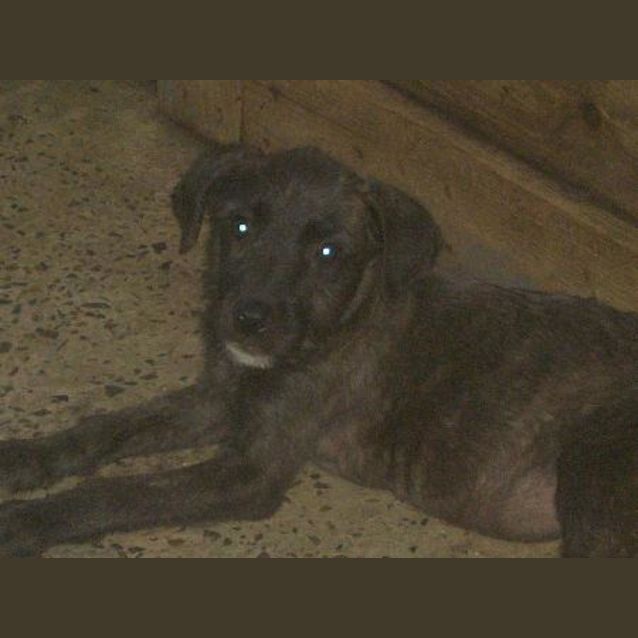 Photo of Heernit Is On Hold