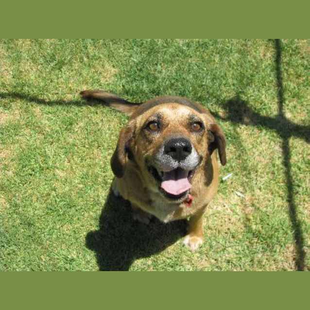 Photo of Ally (On Trial)