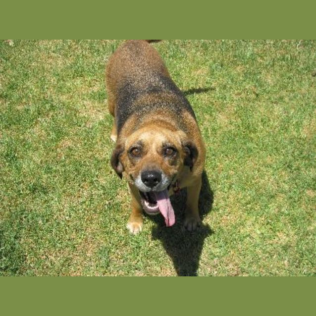 Photo of Ally (On Trial)