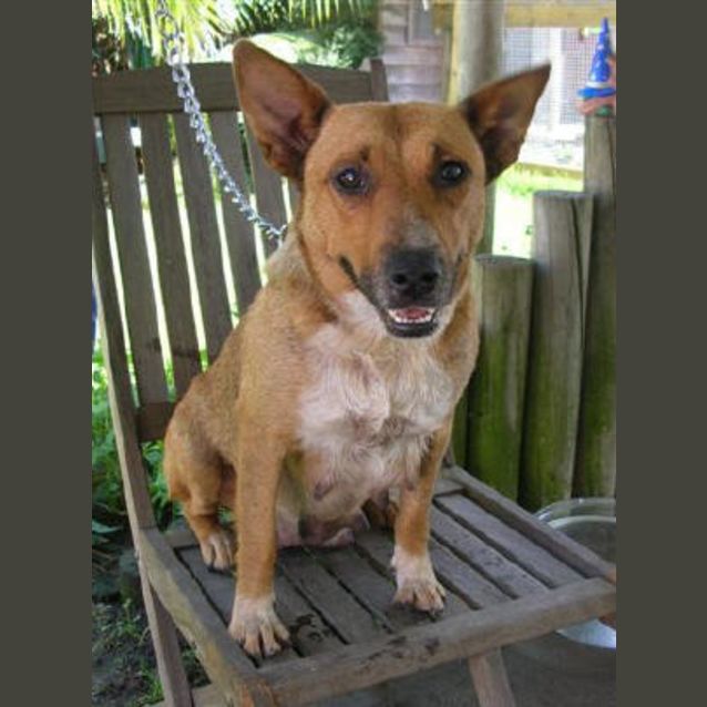 Photo of Missy