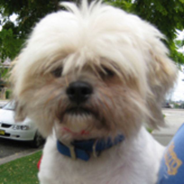 Photo of Leon