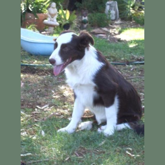 Photo of George