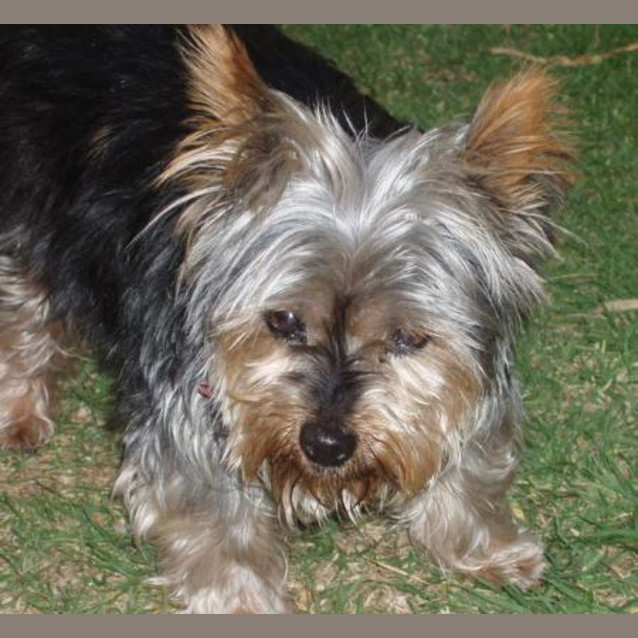 Photo of Josephine