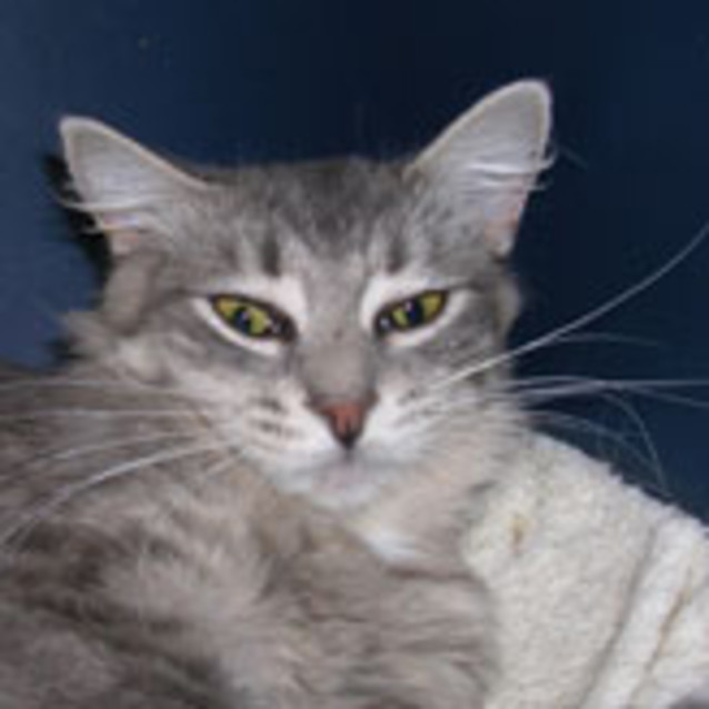 Photo of Maya