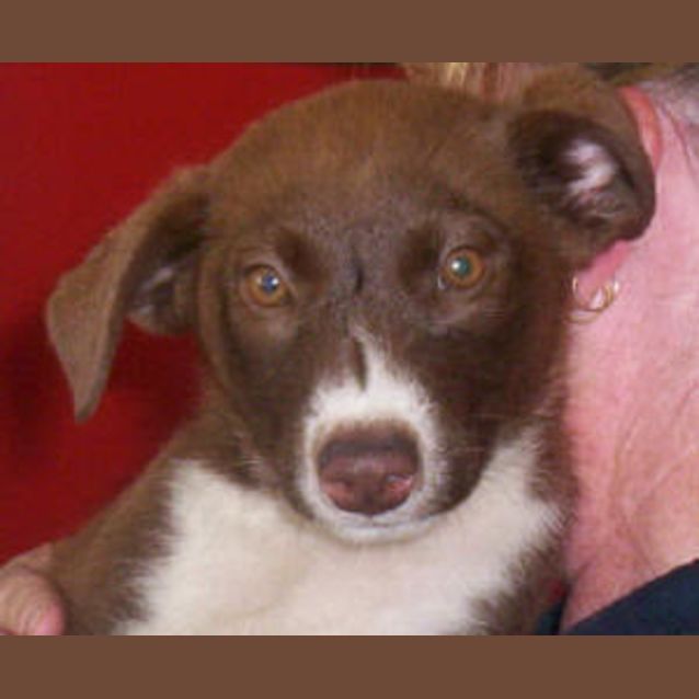 Photo of Delta Brown