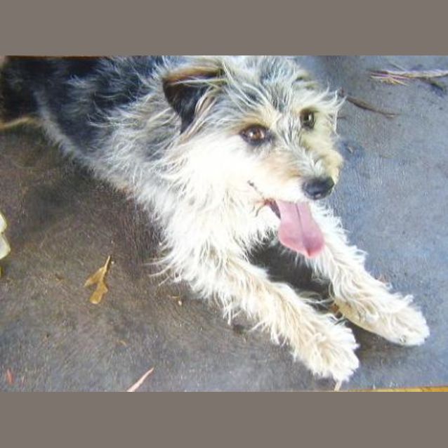 Photo of Bundy