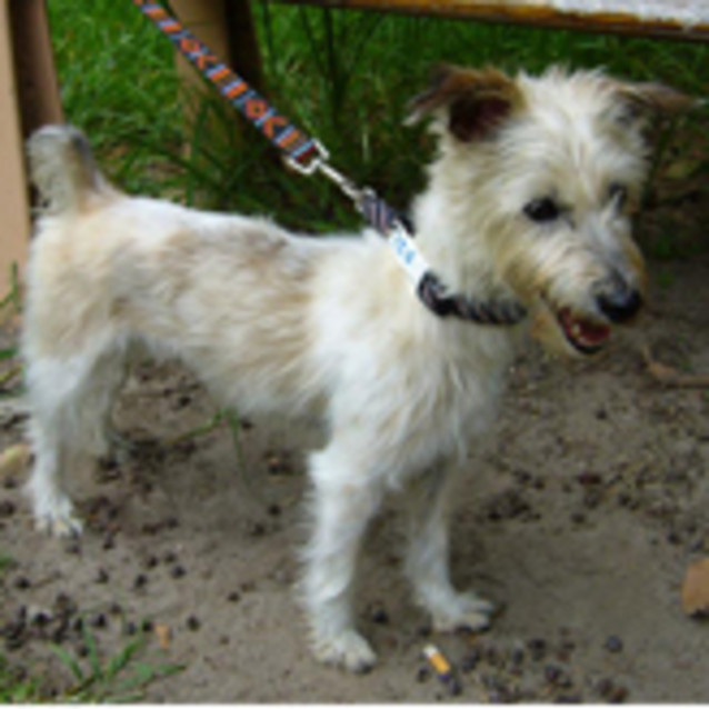 Photo of Princess (F)