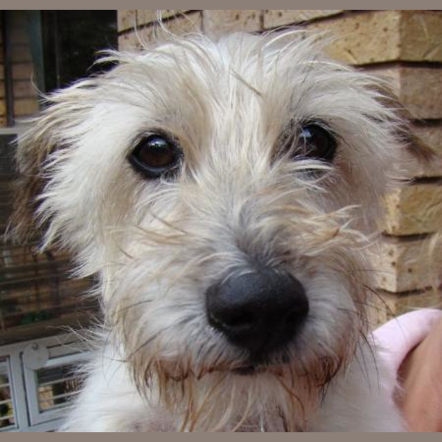 Photo of Princess (F)