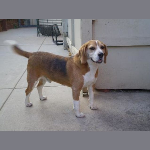 Photo of Arnie (On Trial)