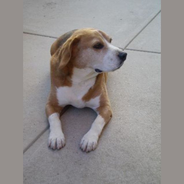 Photo of Arnie (On Trial)