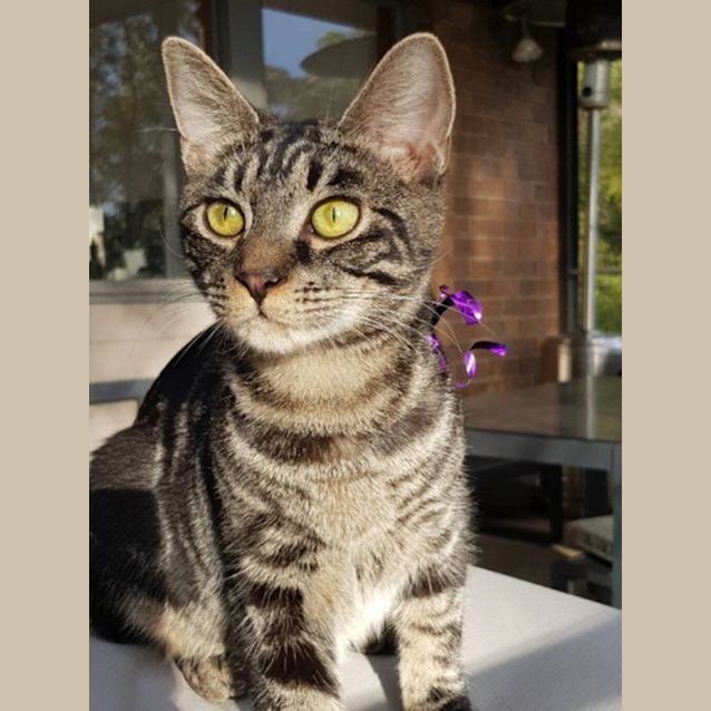 Photo of Constantine