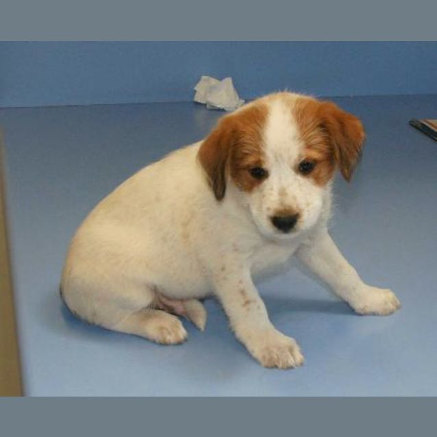 Photo of Rocket