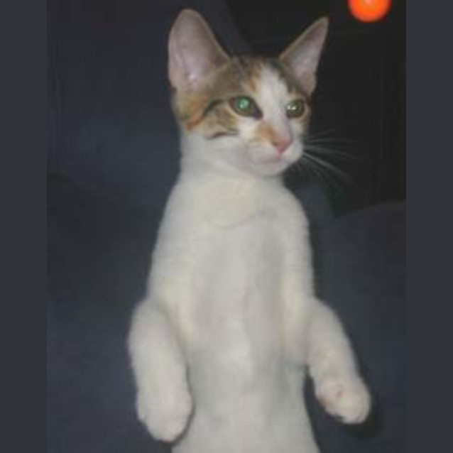 Photo of Sophie