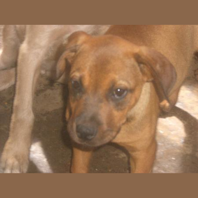 Photo of Cora Is On Hold