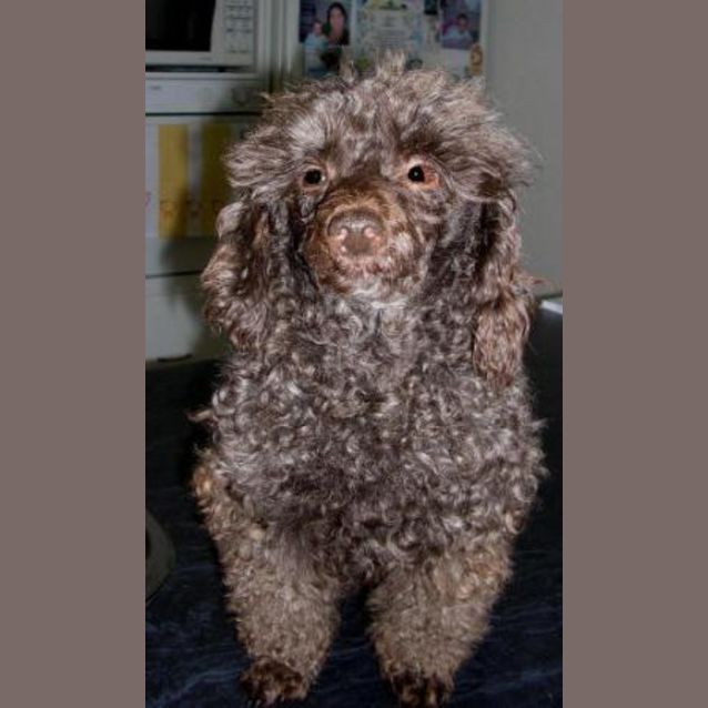 Photo of Sally