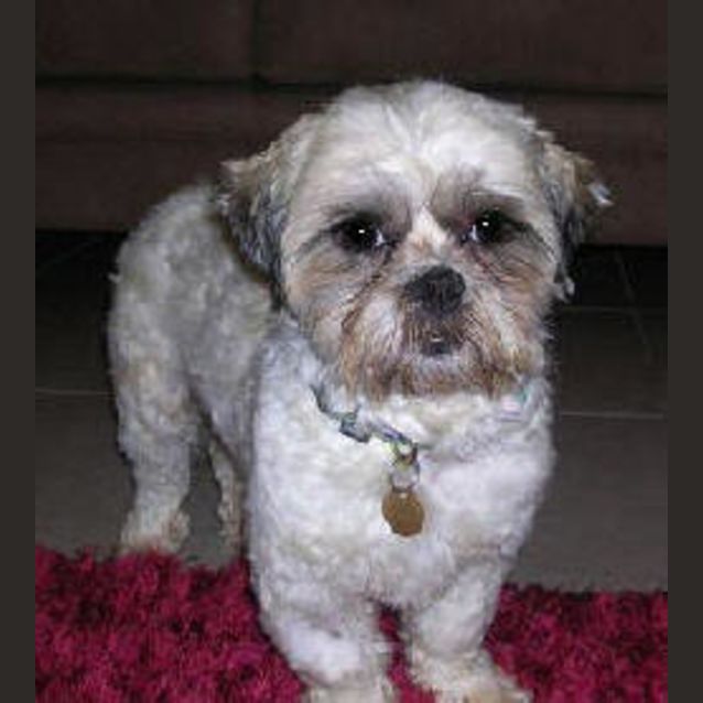 Photo of Hogan