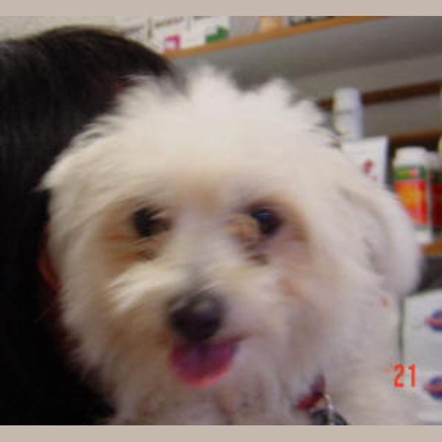 Photo of Abby