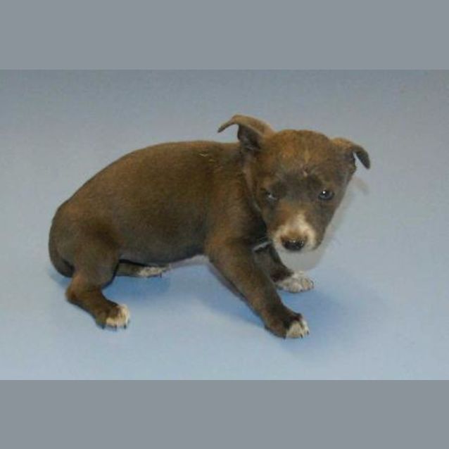 Photo of Windie