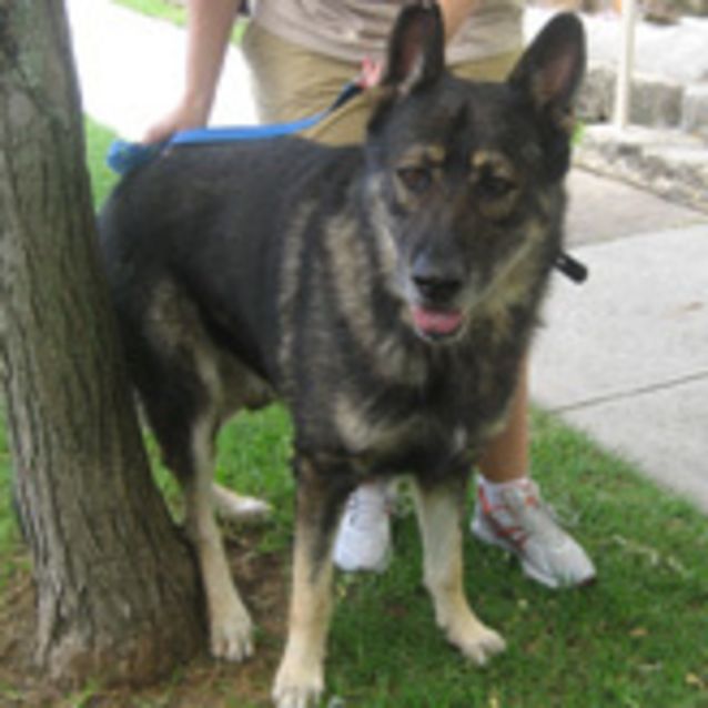 Photo of Zeus