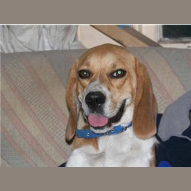 Photo of Molly (On Trial)