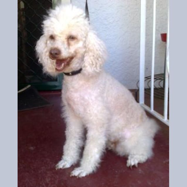 Photo of Chloe