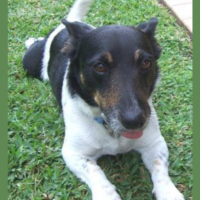 Photo of Max