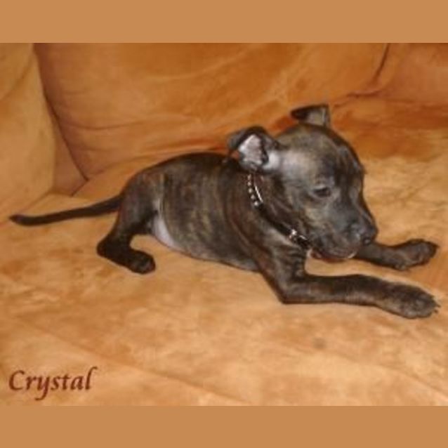 Photo of Crystal