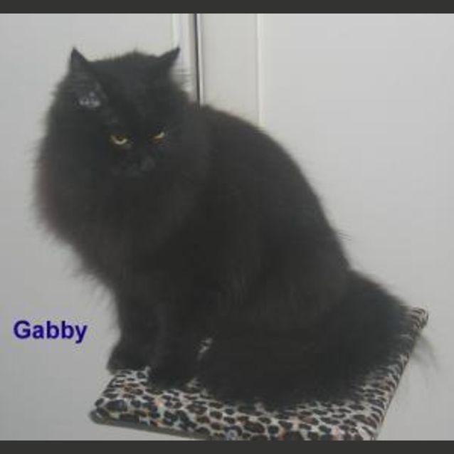 Photo of Gabby