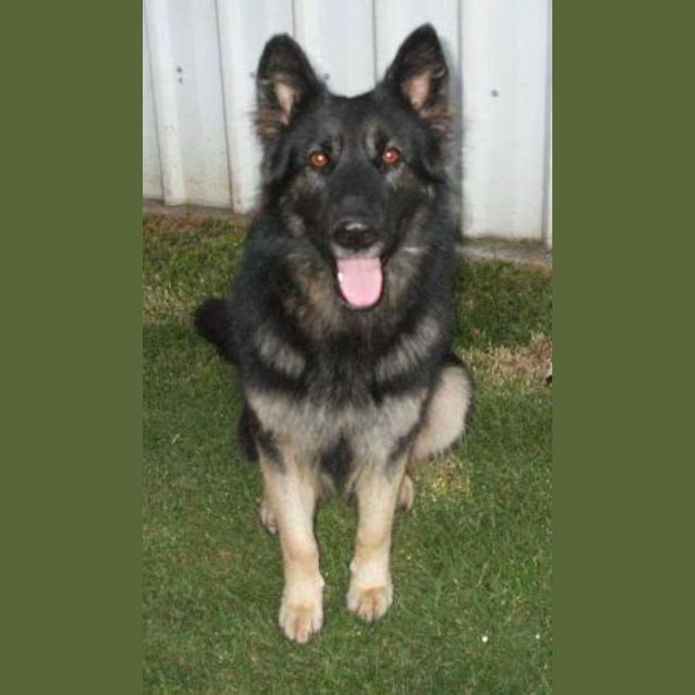 Photo of Missy