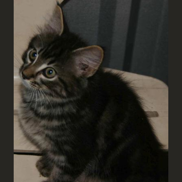 Photo of Bob