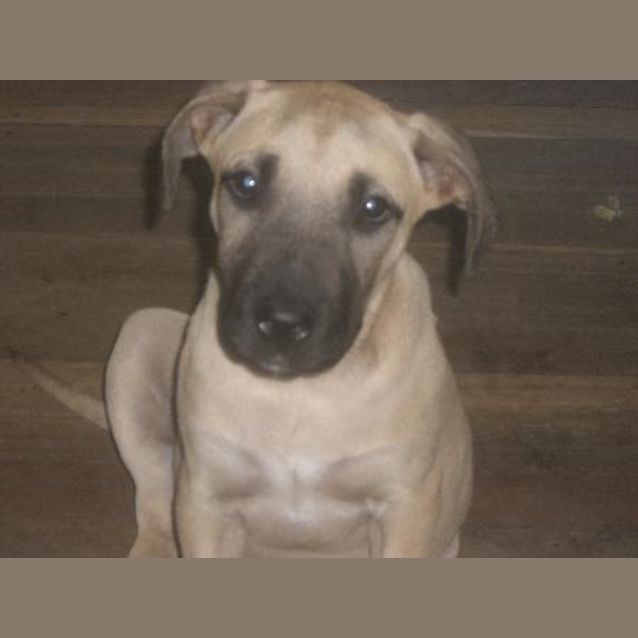 Photo of Mara Is On Hold