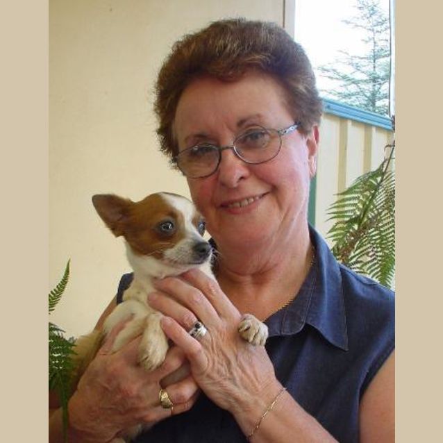 Photo of Charlie The Teeny Tiny Chihuahua