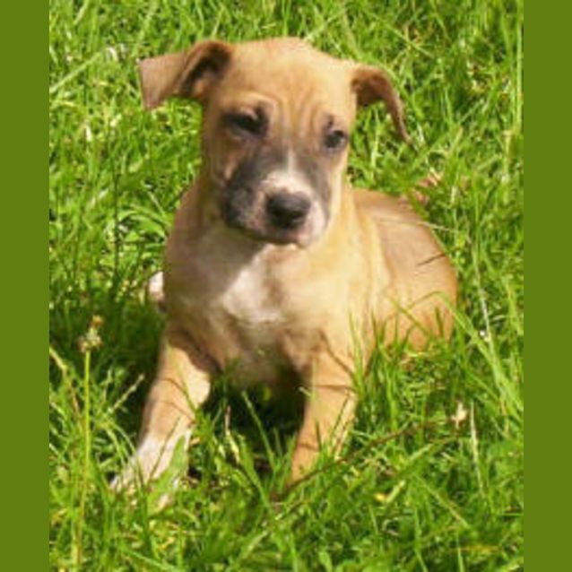 Photo of Delilah