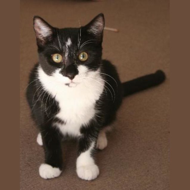 Photo of Slinky