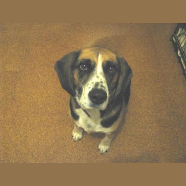 Photo of Buster (On Trial)
