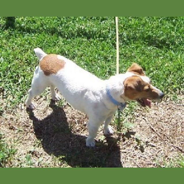 Photo of Annie