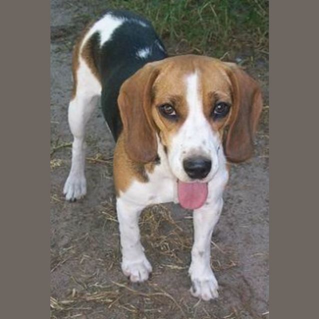 Photo of Ivy