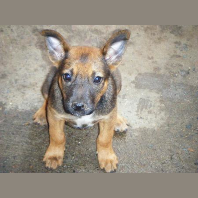 Photo of Lainnie Is On Hold