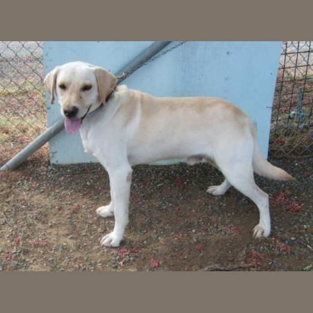 Photo of Dunc  Urgent!