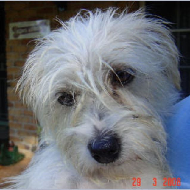 Photo of Bubble