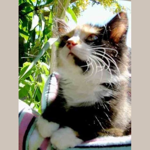 Photo of Emmie Lu