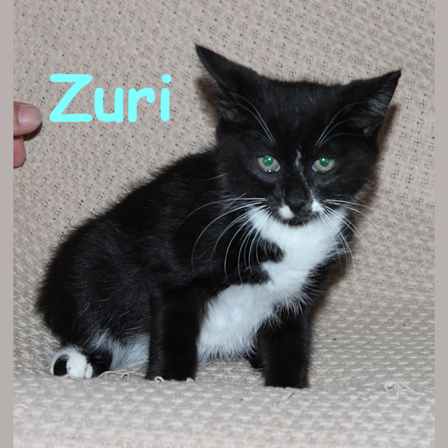 Photo of Zuri