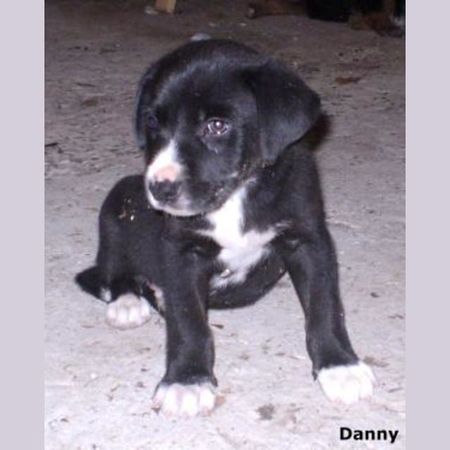 Photo of Danny