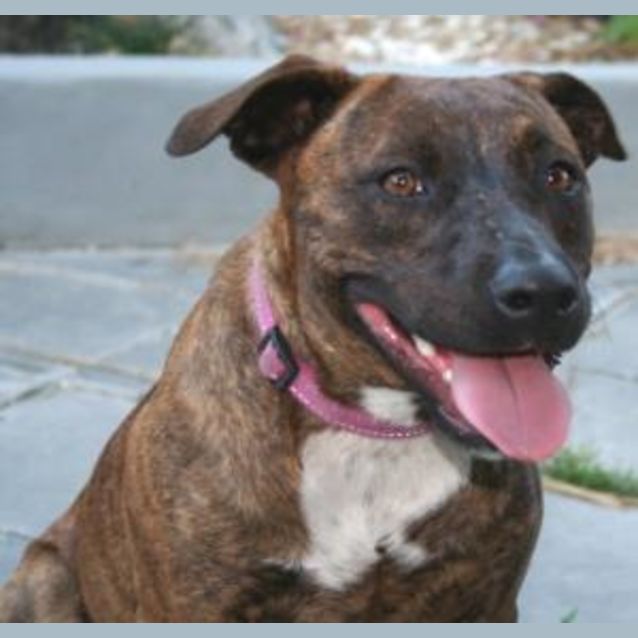 Photo of Cleo