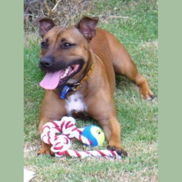 Photo of Roxy